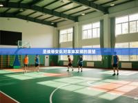 爱游戏体育下载-圣埃蒂安队对未来发展的展望