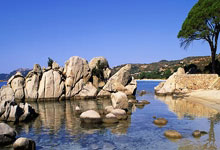 欢娱游戏平台-挪威跳水选手完美发挥夺得铜牌